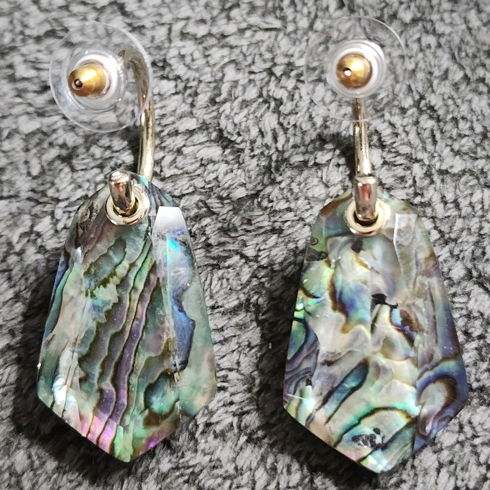 Abalone Shell Dangle Earrings - Picture 4 of 10